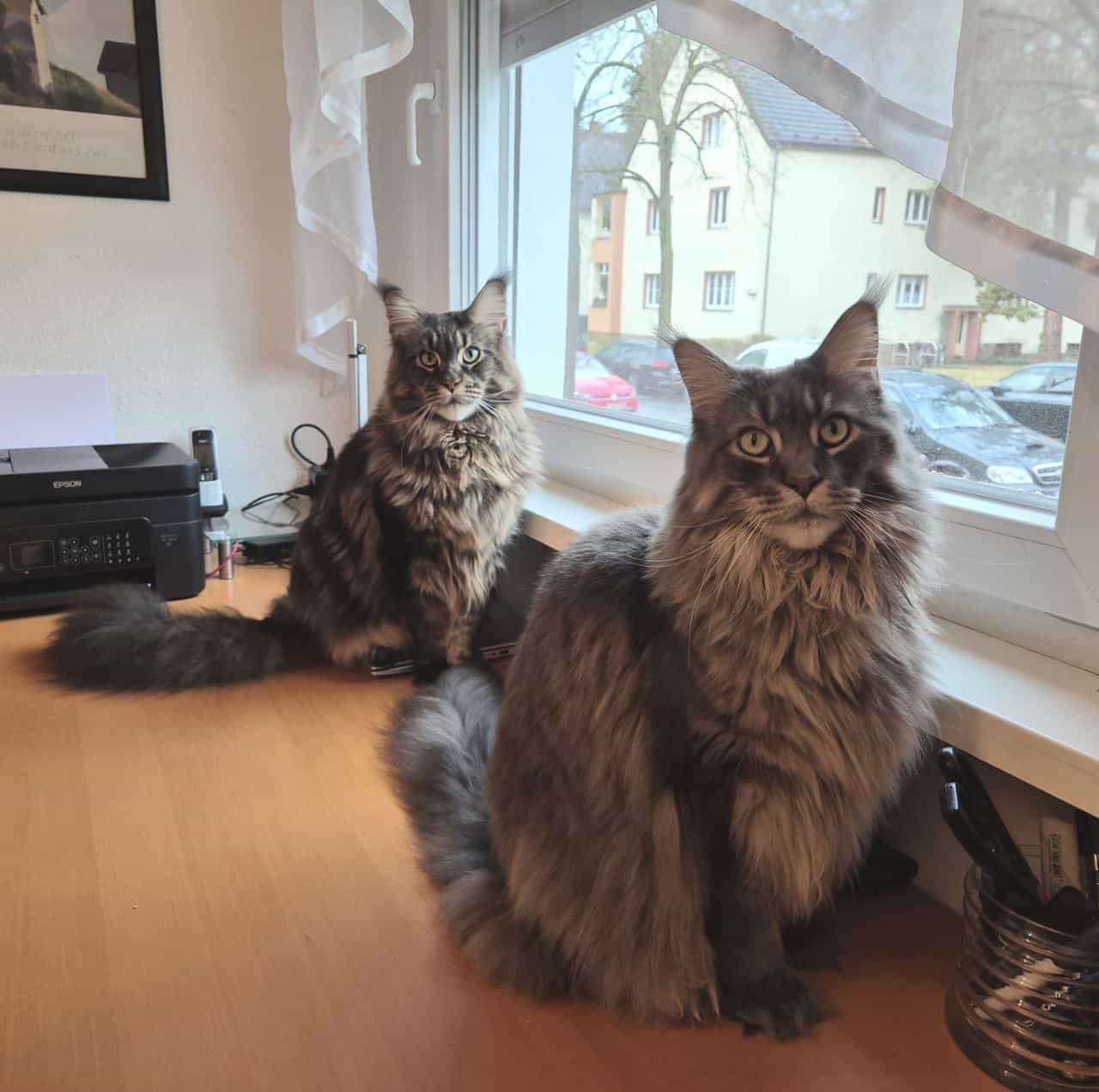 Hanka und Haris 3 Jahre alt Hanka und Haris 3 Jahre alt