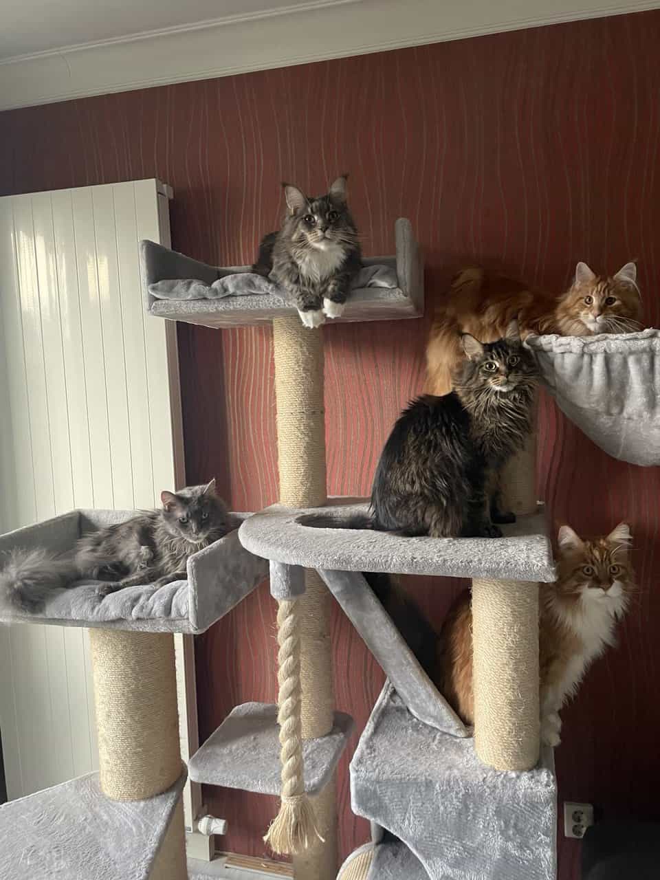 Lagebesprechung am Neujahrstag Lagebesprechung am Neujahrstag