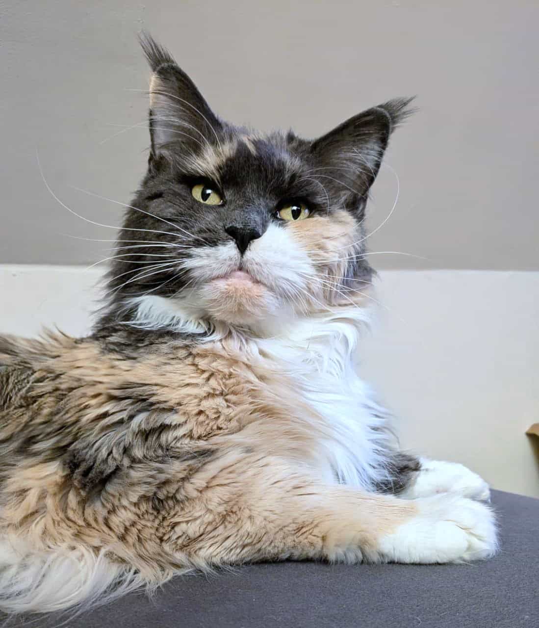 Liebe Grüße von Fraya Liebe Grüße von Fraya