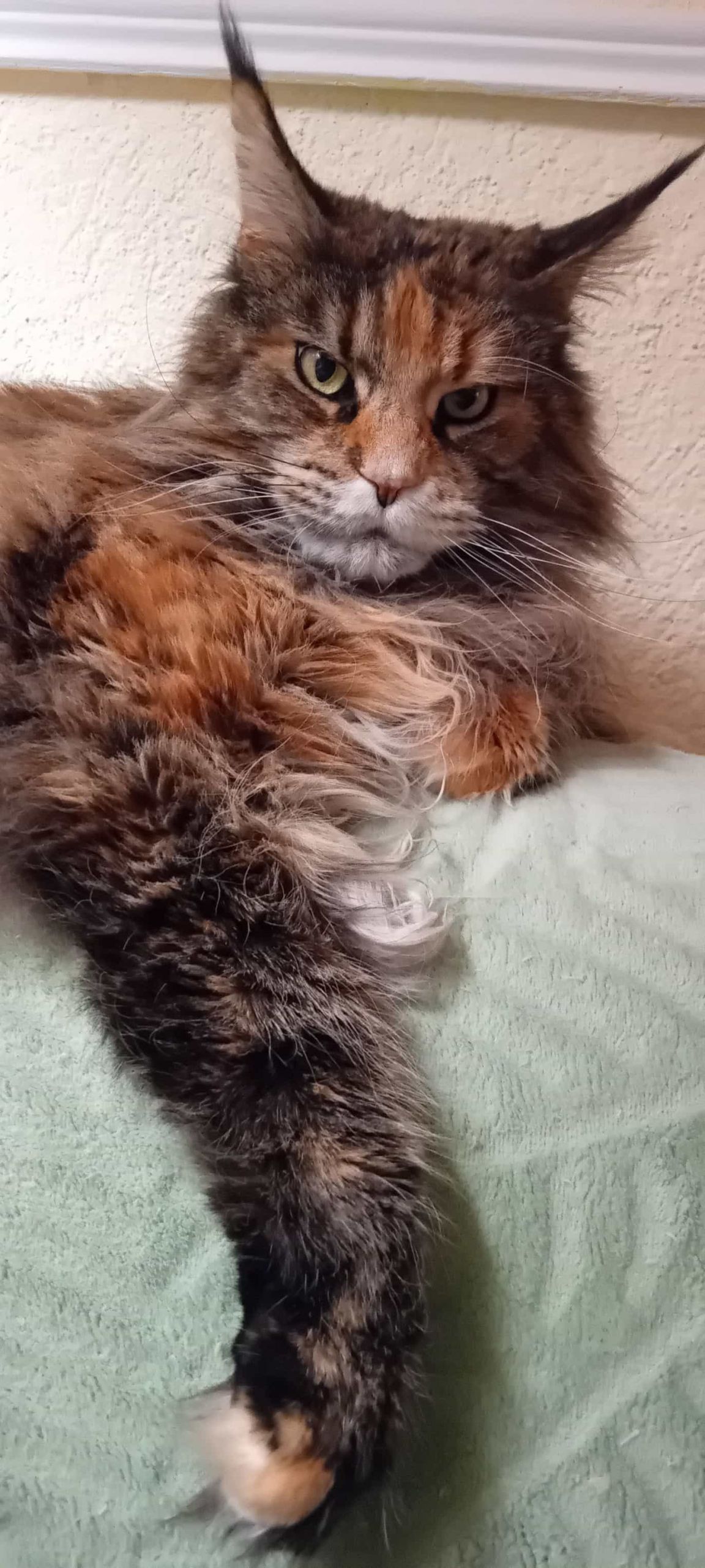 Peggy 7 Jahre alt Peggy 7 Jahre alt