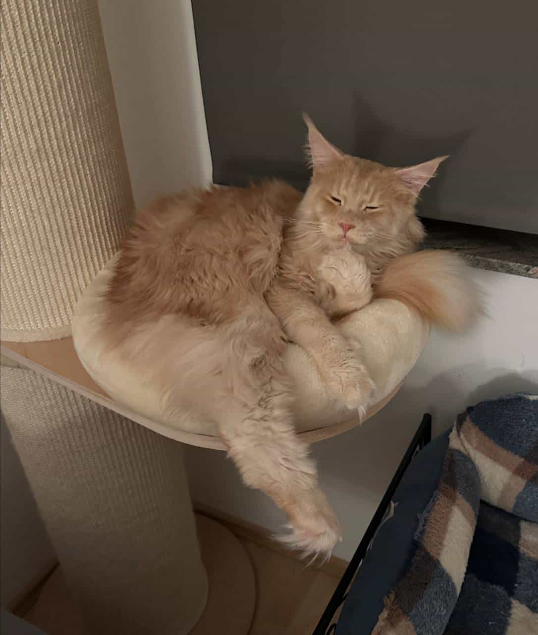 Quiet Fire als nachdenklicher Philosoph Quiet Fire als nachdenklicher Philosoph