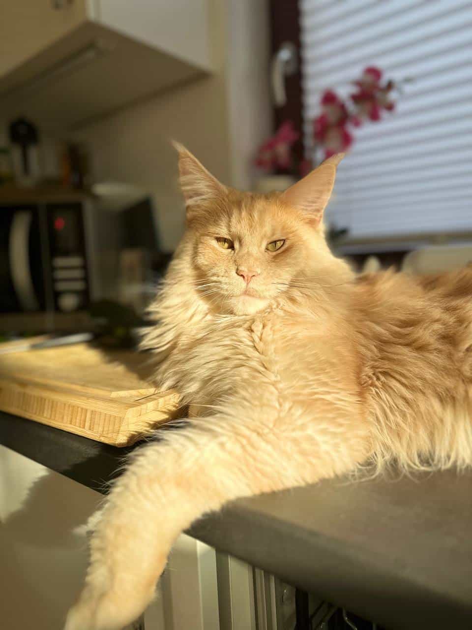 Quiet Fire Quiet Fire