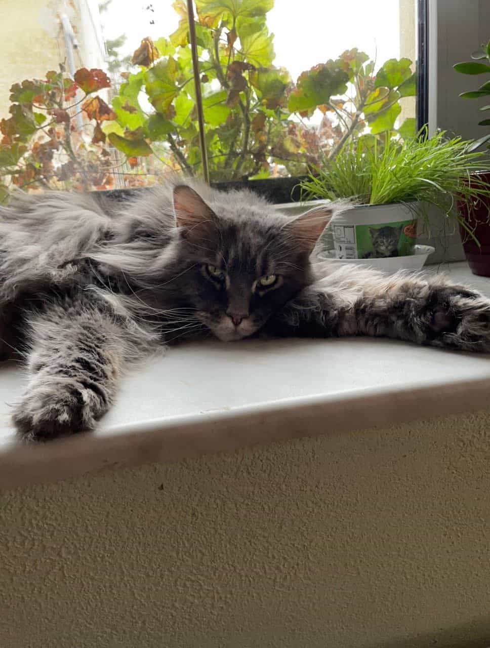 Schönes Wochenende Schönes Wochenende