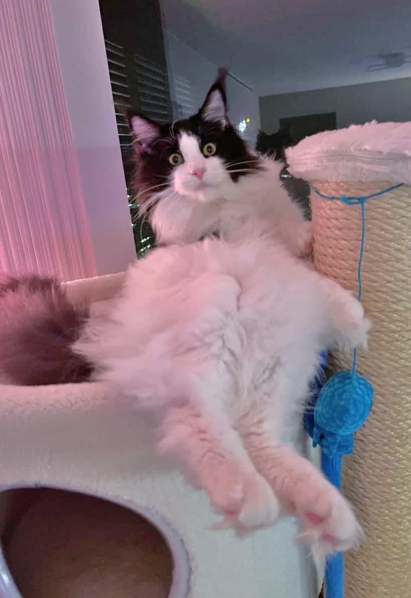 Was für eine Diva Was für eine Diva