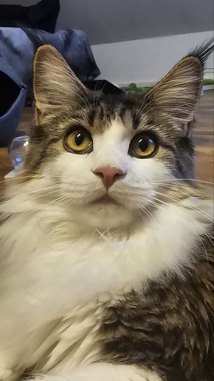 Winni of MCC Winni of MCC