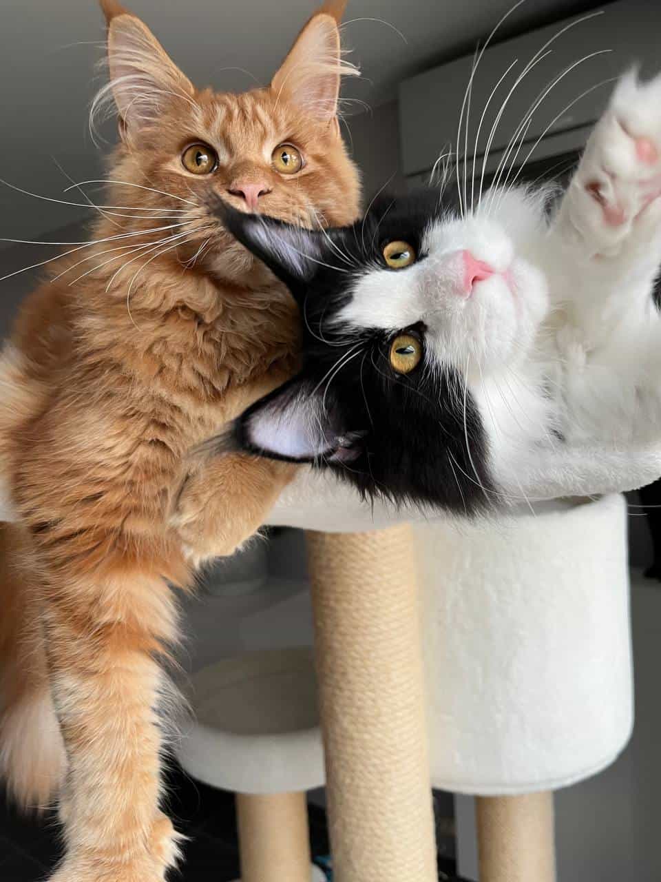 Wir wünschen allen ein wunderschönes Jahr 2025 Wir wünschen allen ein wunderschönes Jahr 2025