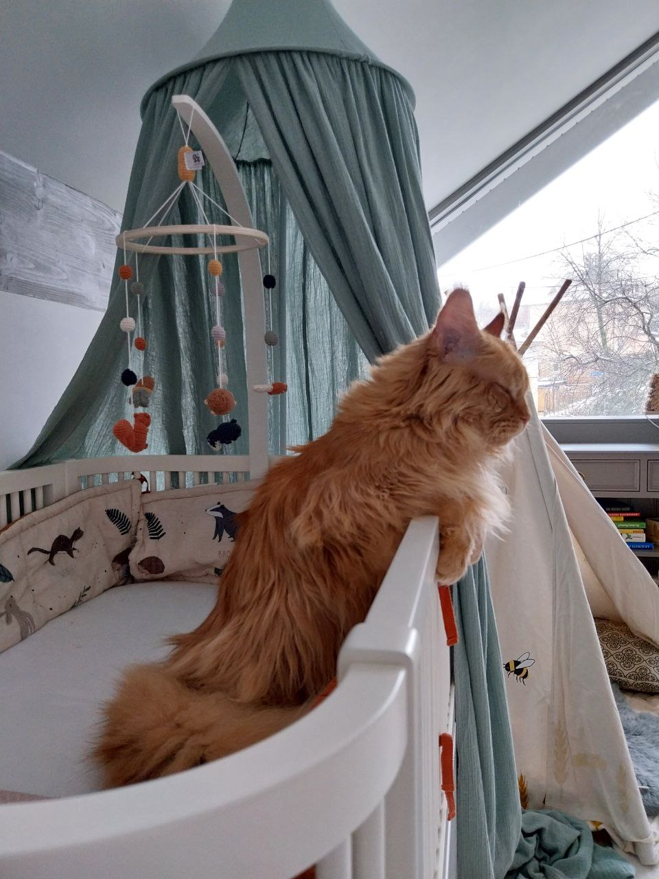 Dave Ein Fuchs im Babyzimmer Dave Ein Fuchs im Babyzimmer