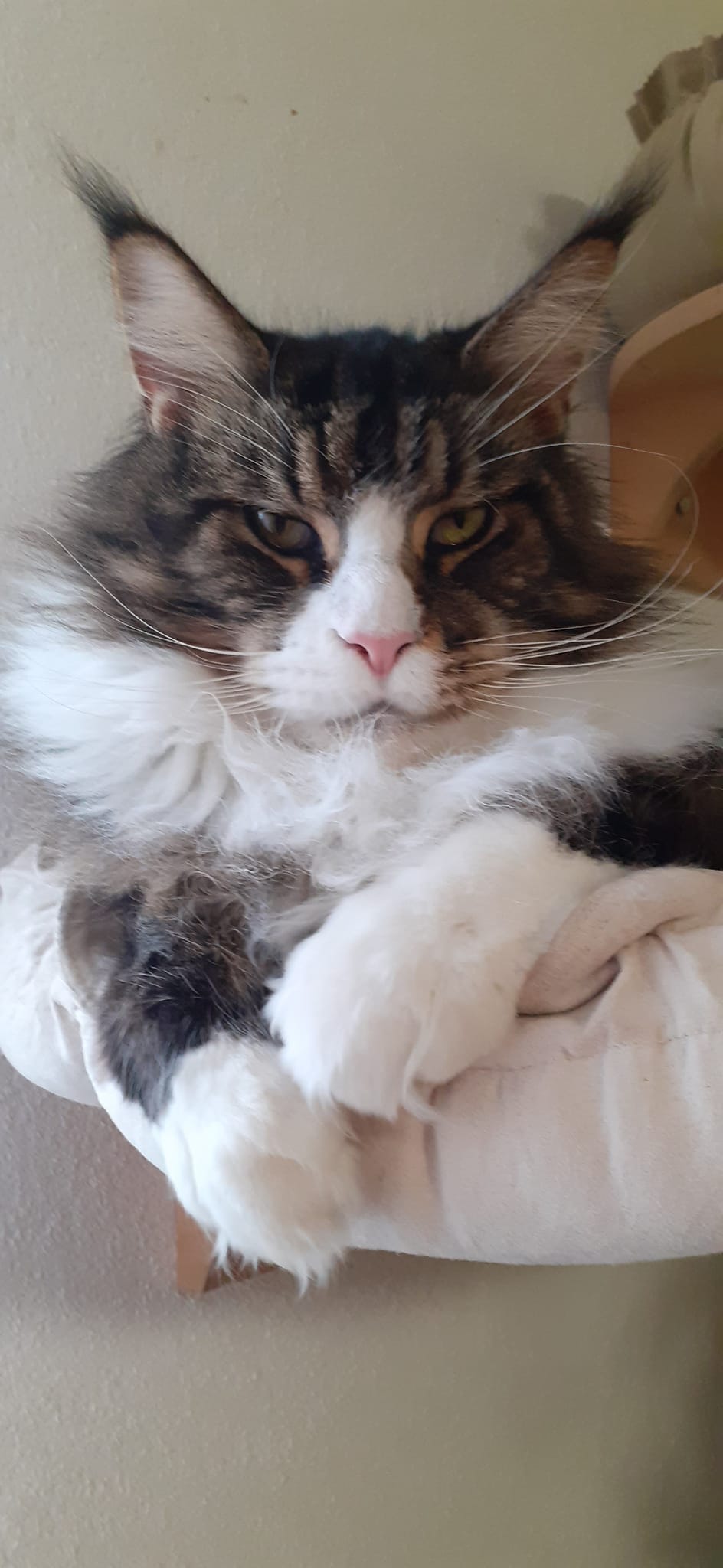 Dirk wird am 7. März 5 Jahre Dirk wird am 7. März 5 Jahre