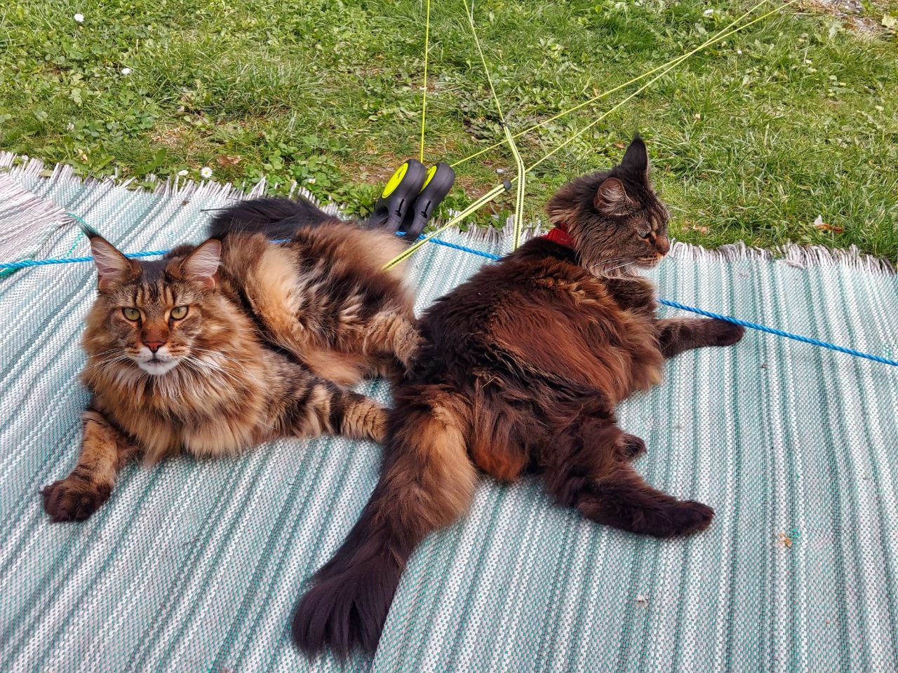 Emma und Ihr Sohn Zenon Emma und Ihr Sohn Zenon