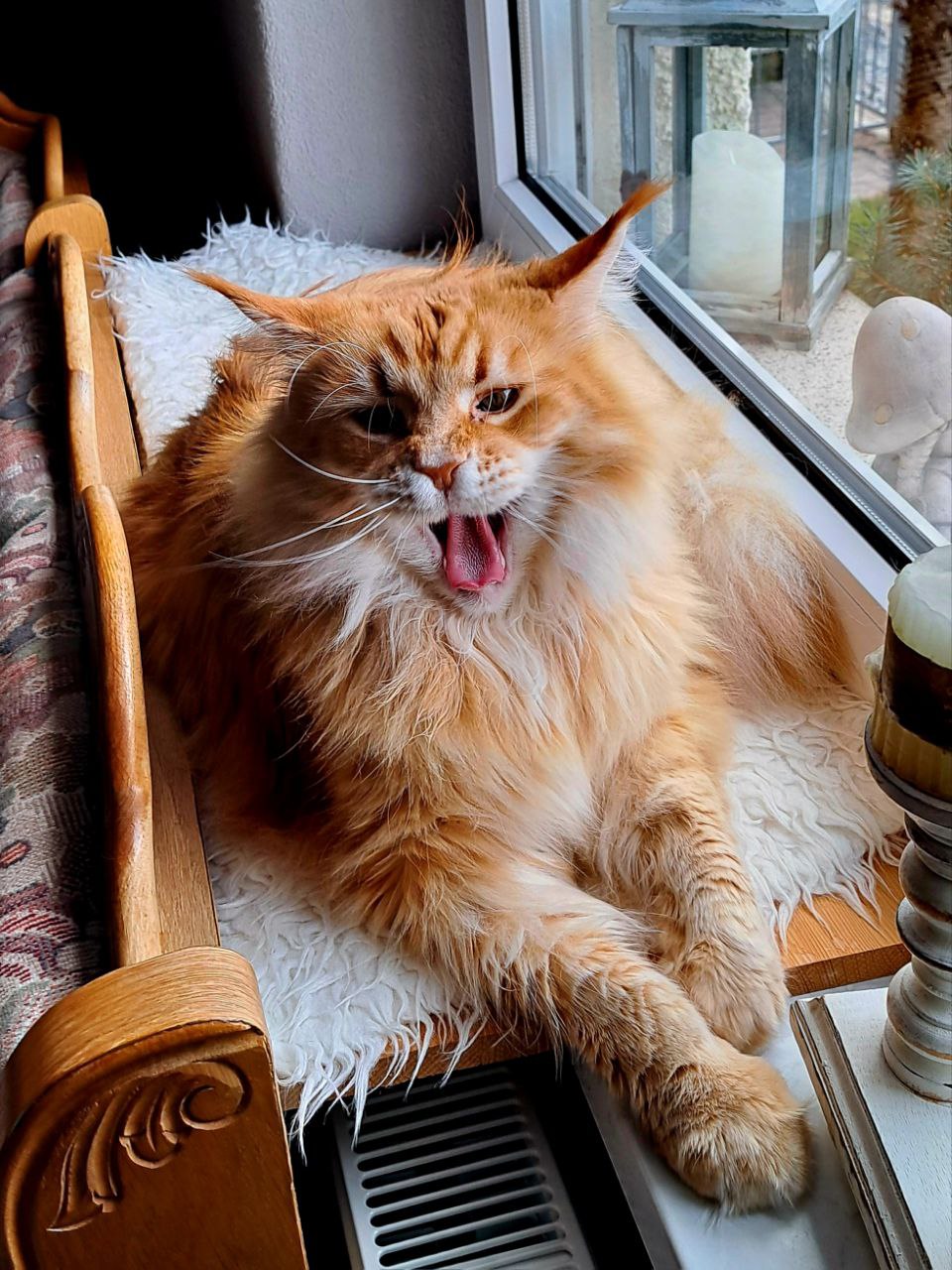 Ich will kein Foto Ich will kein Foto