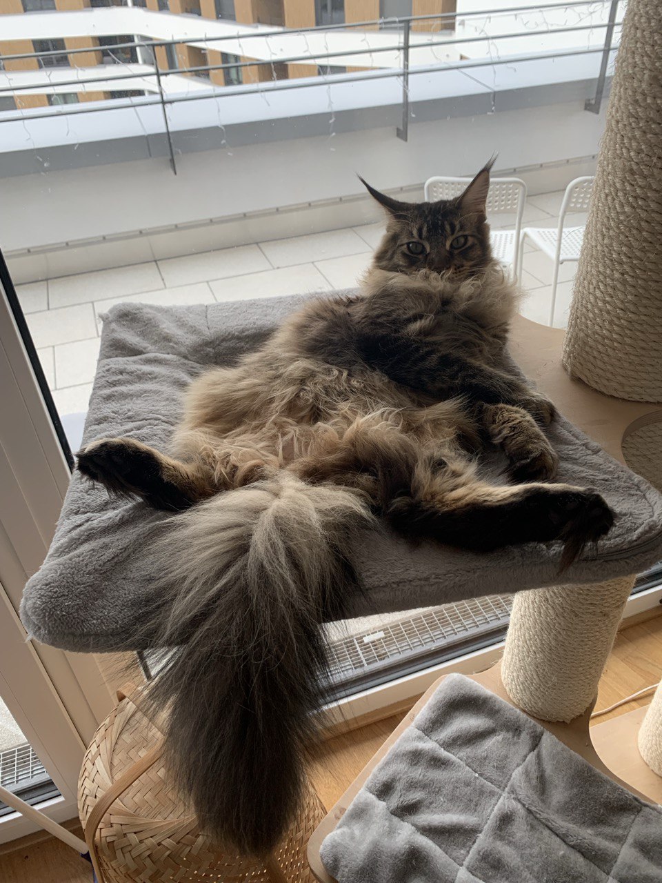 James wünscht ein entspanntes Wochenende James wünscht ein entspanntes Wochenende