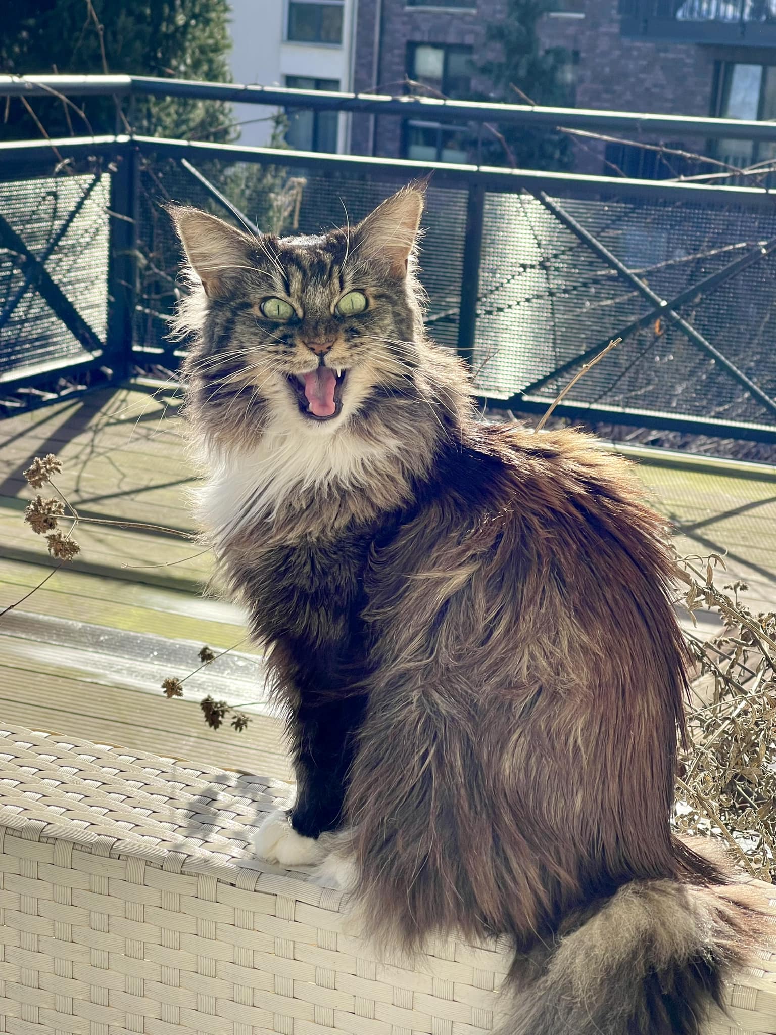 Maika yeah Sonne Maika yeah Sonne