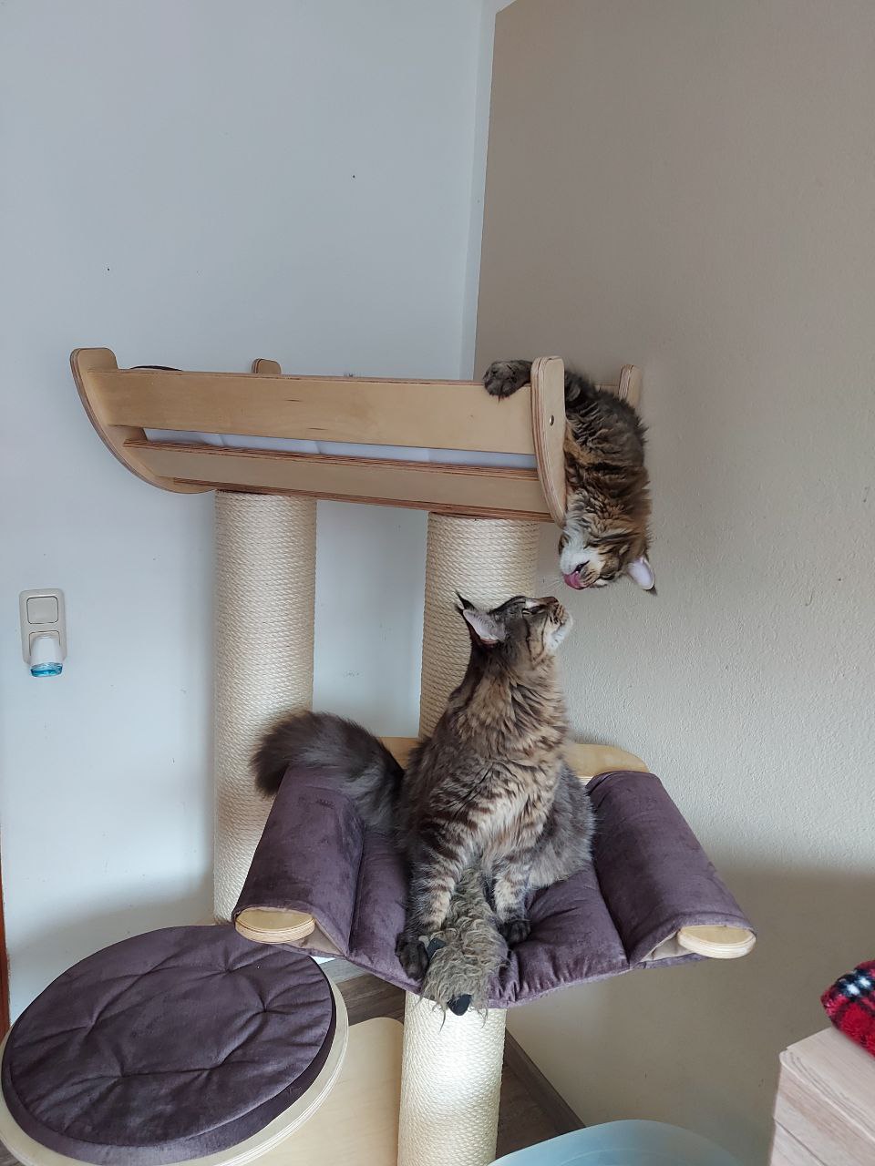 Pepe und Ozzy Pepe und Ozzy