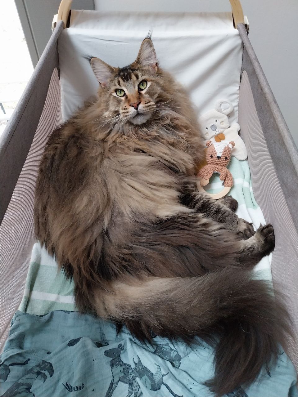 Riesenbaby Nick Riesenbaby Nick