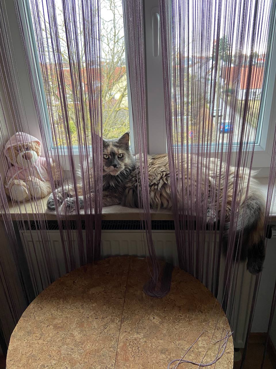 Zoey wünscht ein entspanntes Wochenende Zoey wünscht ein entspanntes Wochenende