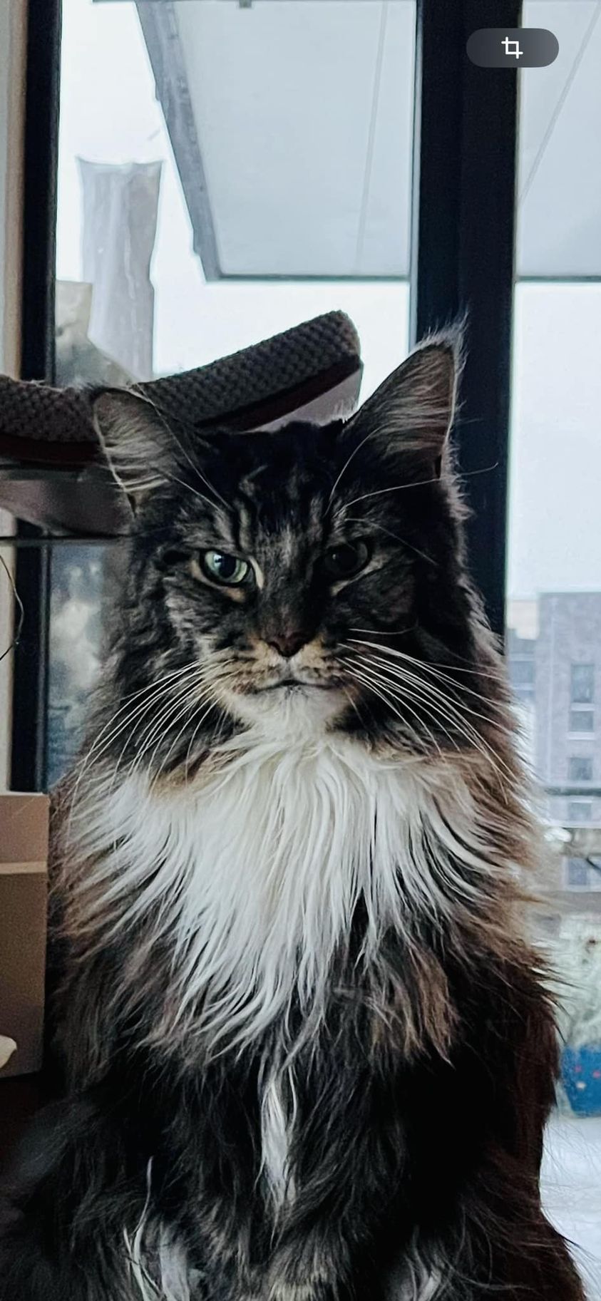 passend zum Valentinstag Maika passend zum Valentinstag Maika