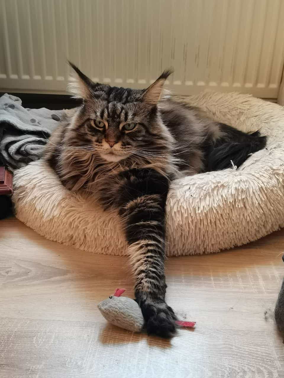 Das ist meine!!! Das ist meine!!!