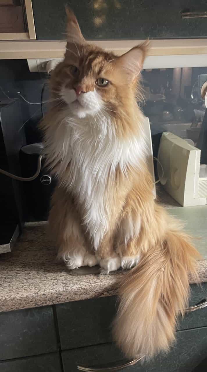 Erik of MCC Erik of MCC