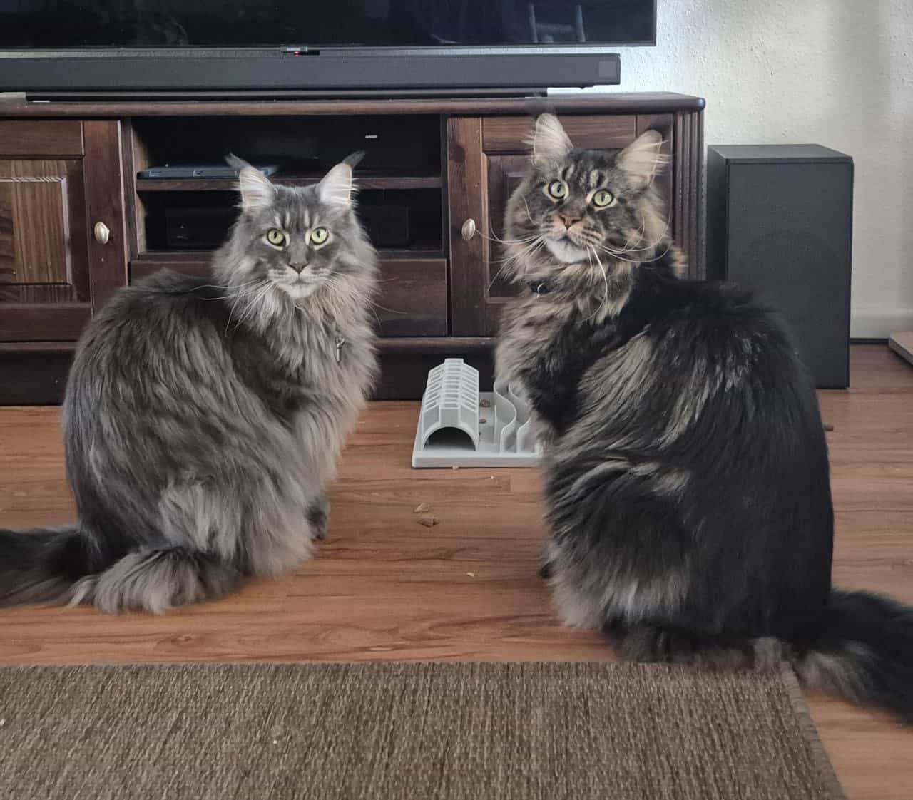 Fummelbrett leer! Mach wieder voll! Jetzt! Fummelbrett leer! Mach wieder voll! Jetzt!