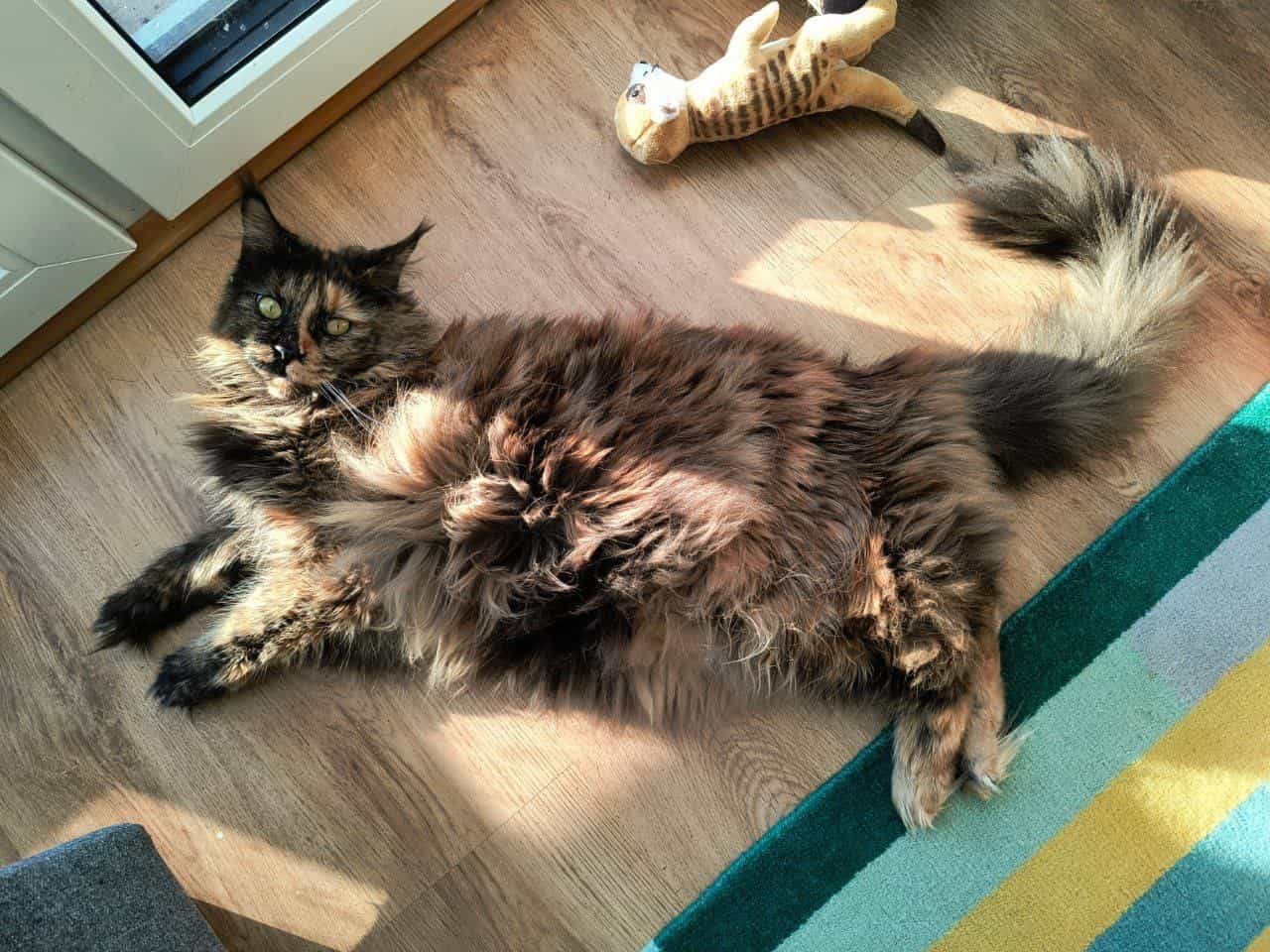 Jutta, sie will einfach nur die Sonne genießen…. Jutta, sie will einfach nur die Sonne genießen....