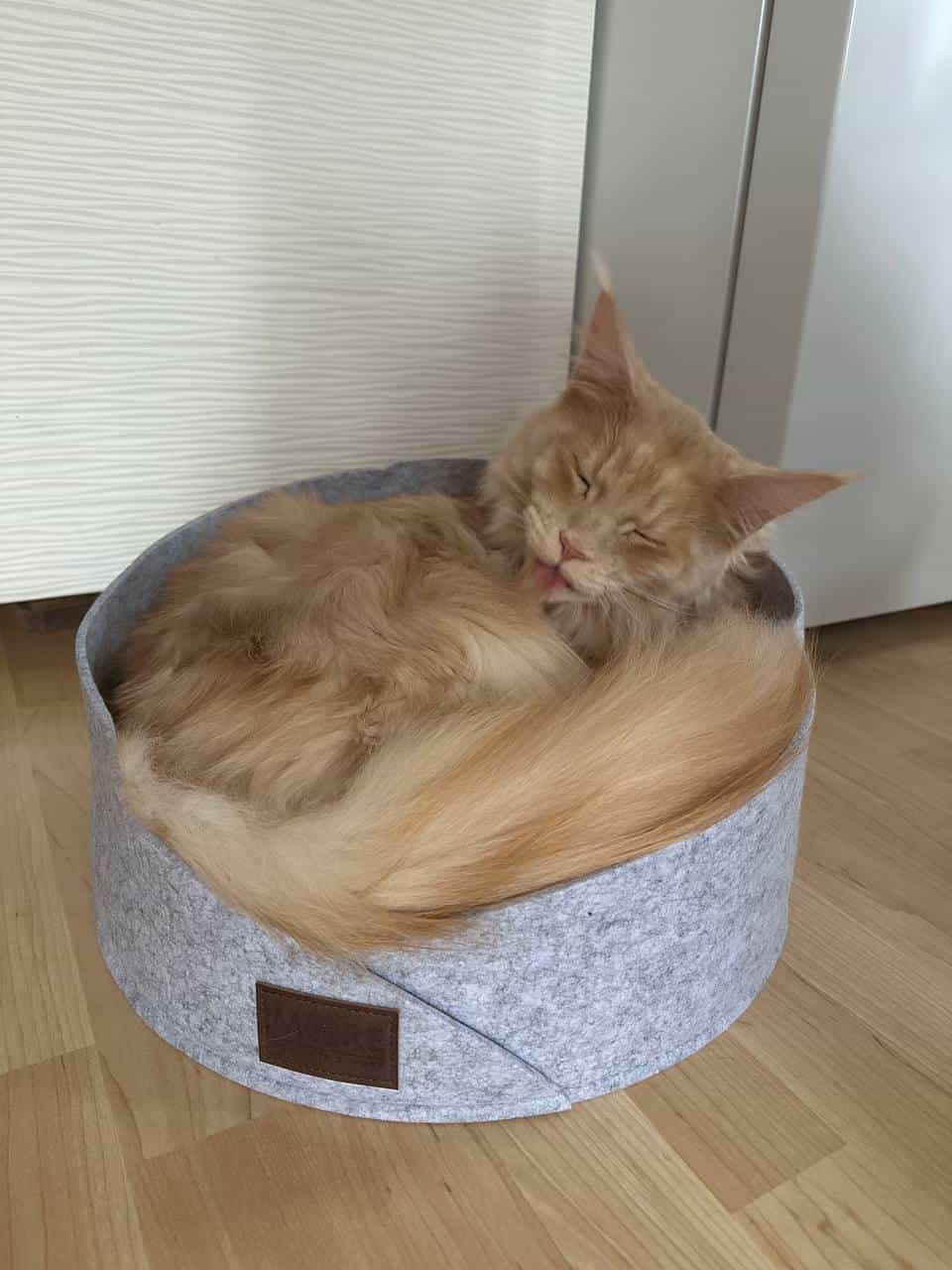 Wie es einfach perfekt zu ihm passt Wie es einfach perfekt zu ihm passt