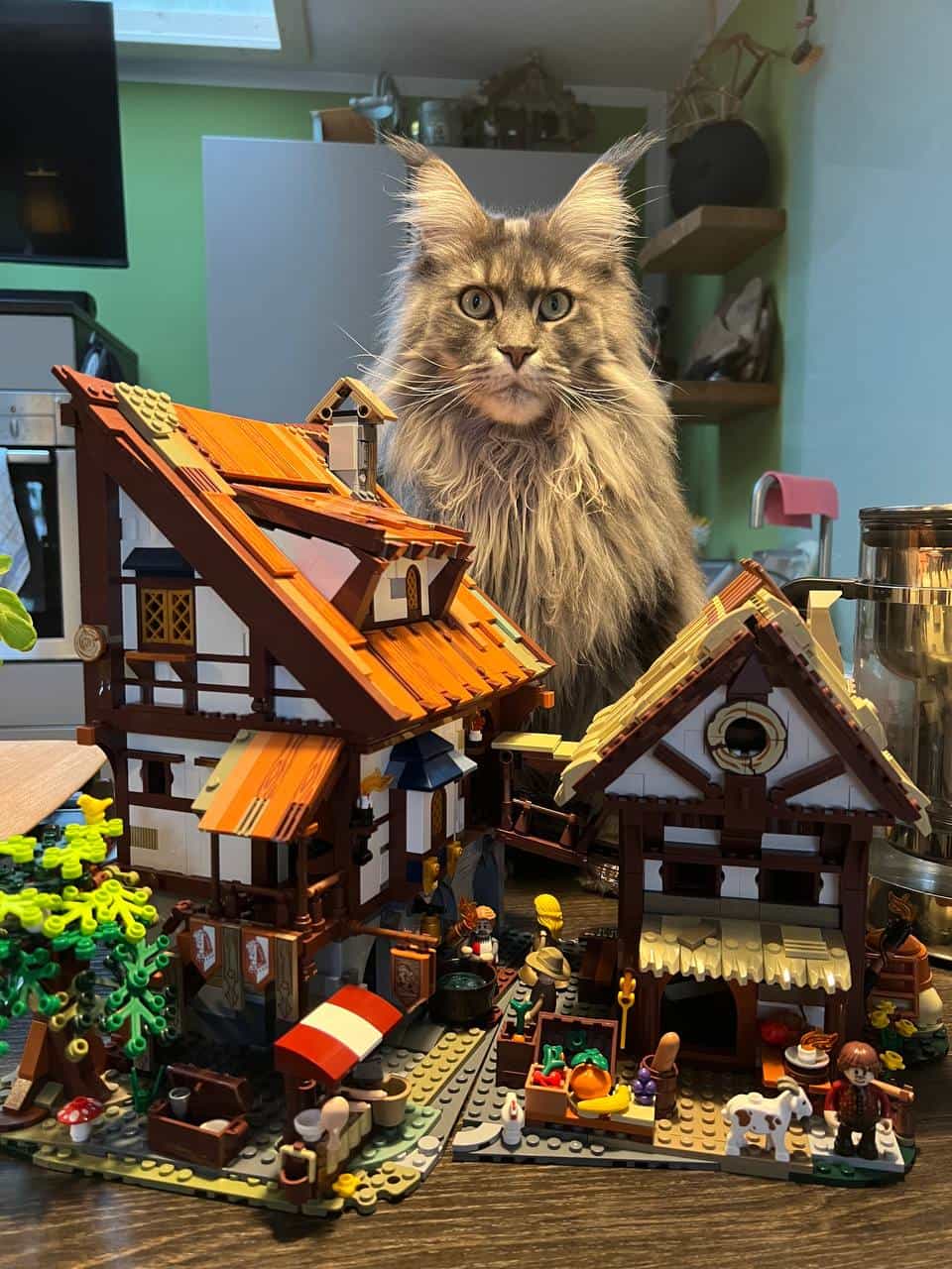 „Angriff der Kuschelkatze“ Hilde nimmt gerade die Bauabnahme vor. „Angriff der Kuschelkatze“ Hilde nimmt gerade die Bauabnahme vor.