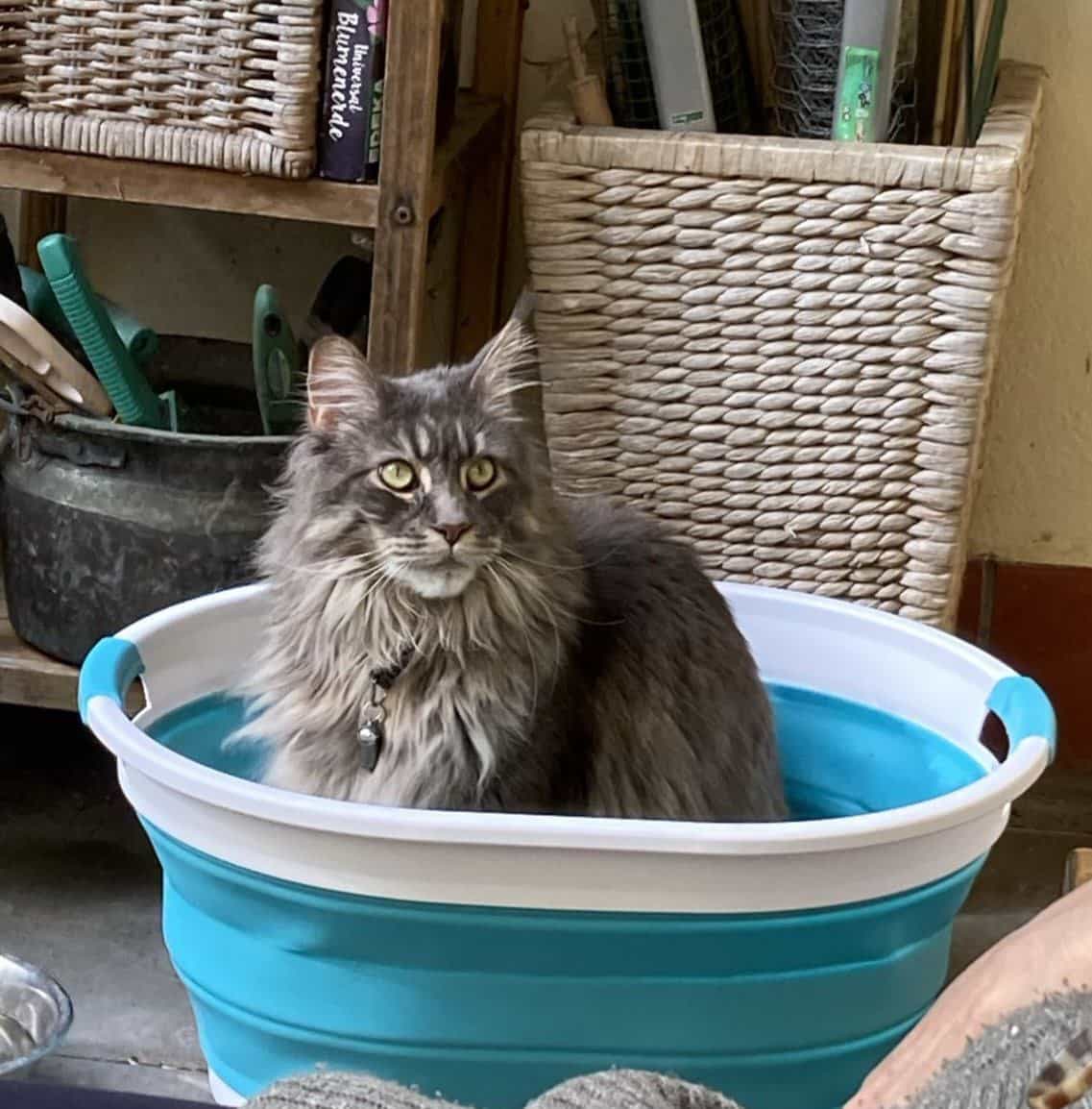 Blumen raus, Hanka sofort rein Blumen raus, Hanka sofort rein