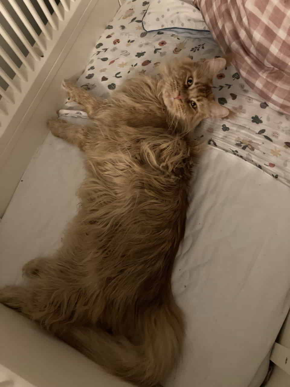 Dave wärmt vor Dave wärmt vor