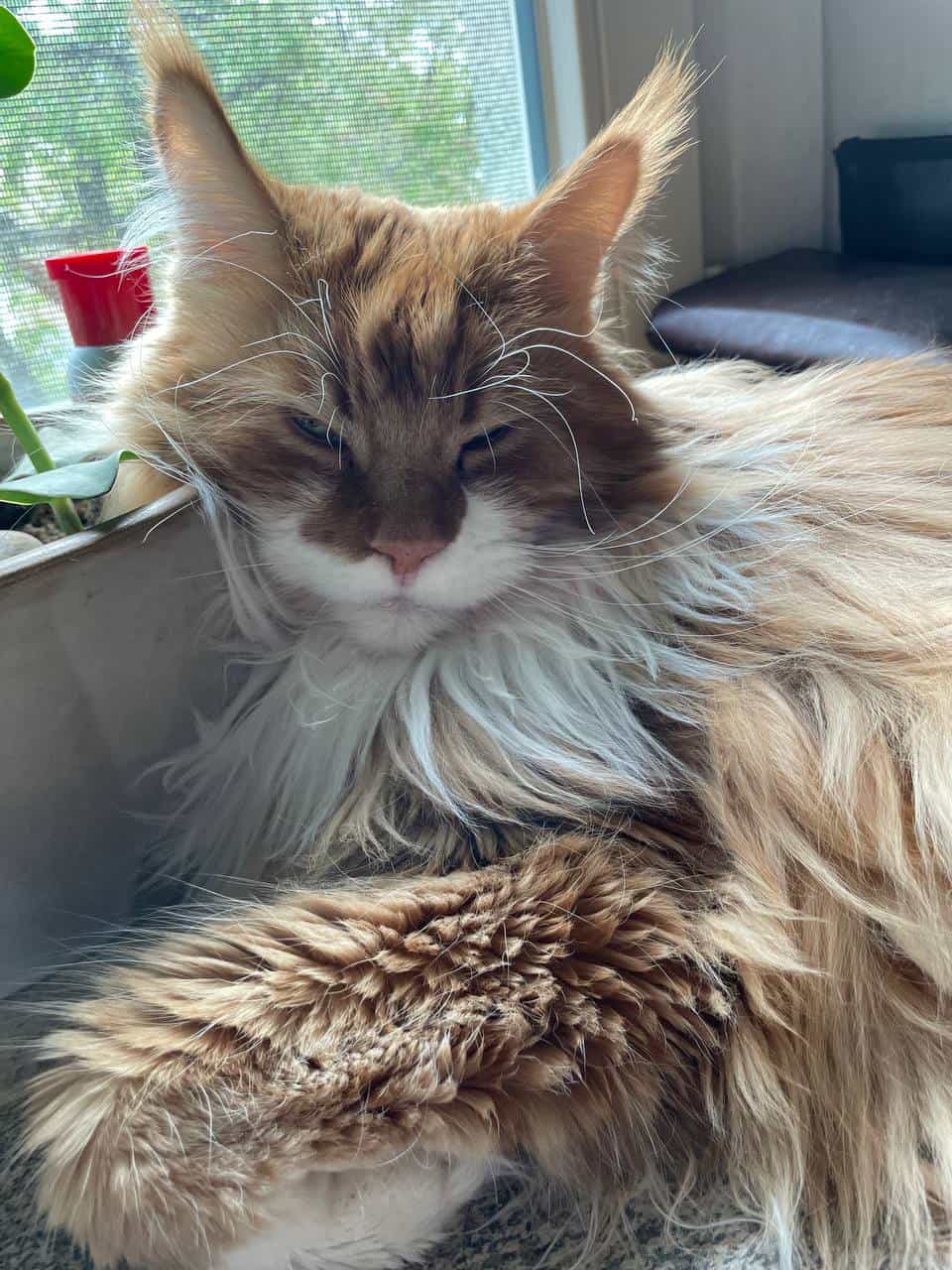 Erik der Wikinger Erik der Wikinger