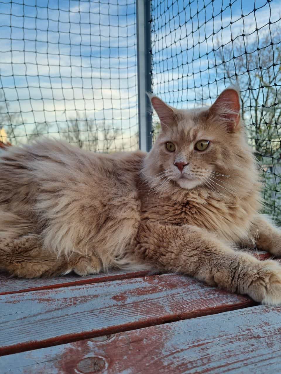 Justus im Wind Justus im Wind