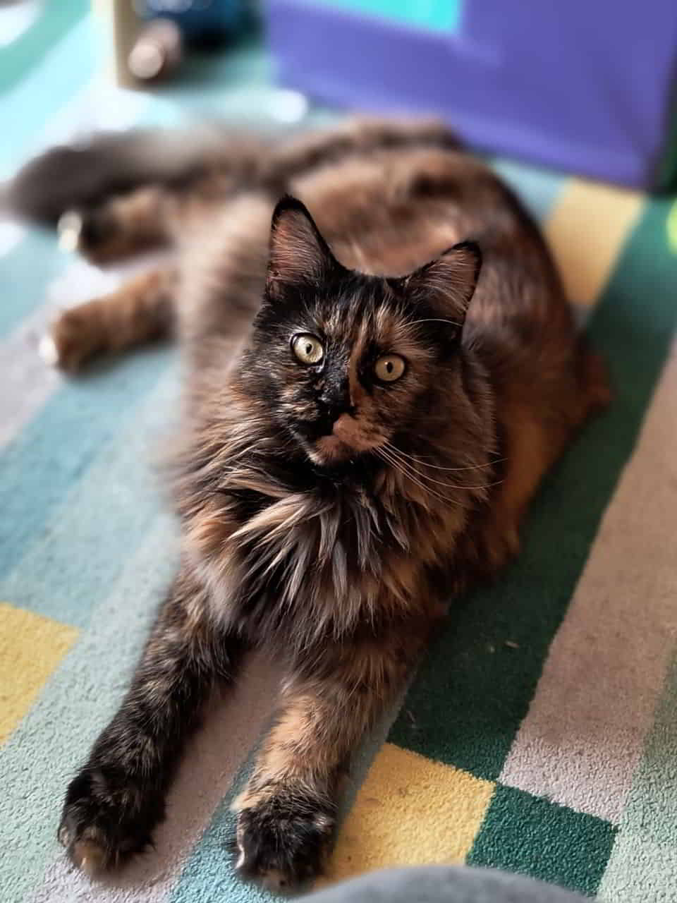 Jutta hat gerade Wer spinnt, gewinnt! gespielt Jutta hat gerade Wer spinnt, gewinnt! gespielt