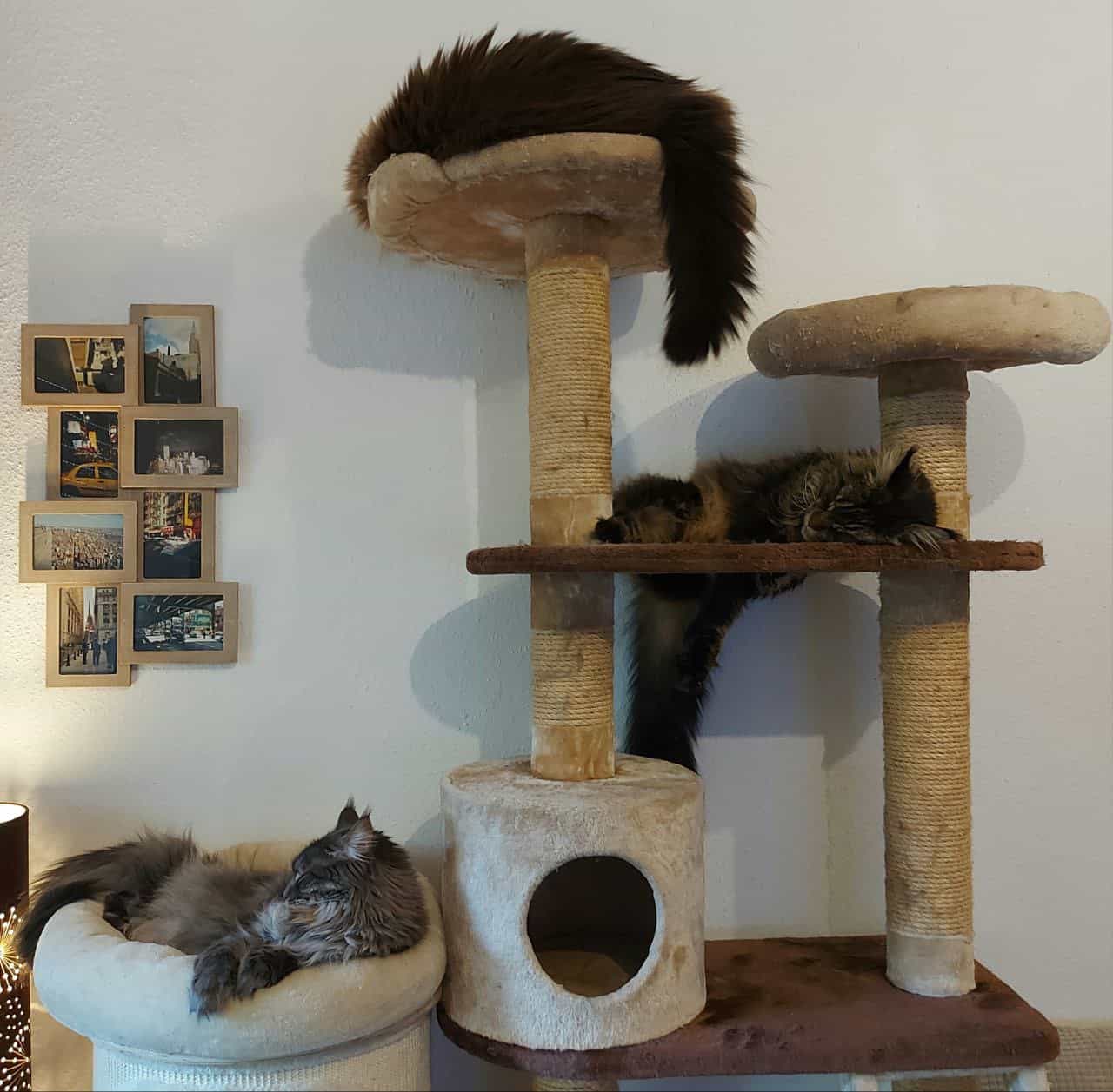 Kaputt gemacht Kaputt gemacht