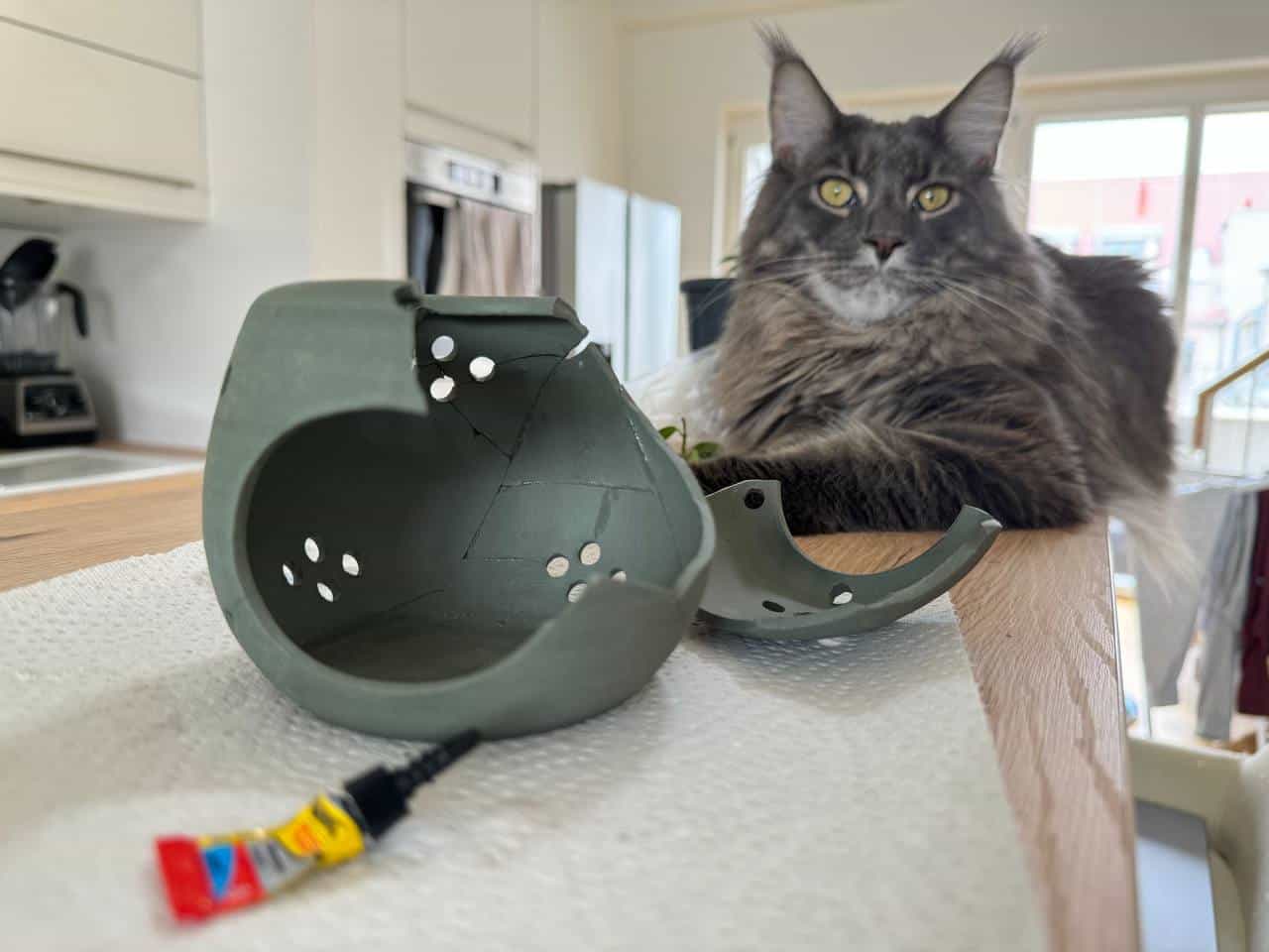 Leo der Terminator Leo der Terminator