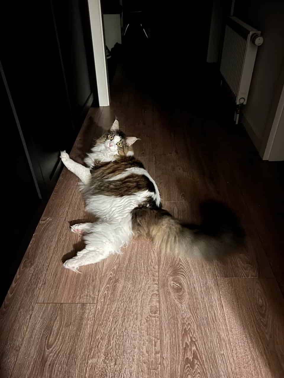 Peter 2 Jahre alt Peter 2 Jahre alt