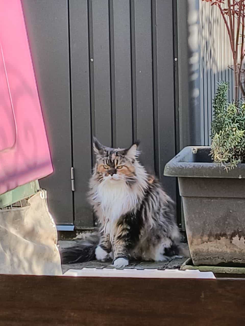 Wilma ist ein bisschen irritiert Wilma ist ein bisschen irritiert