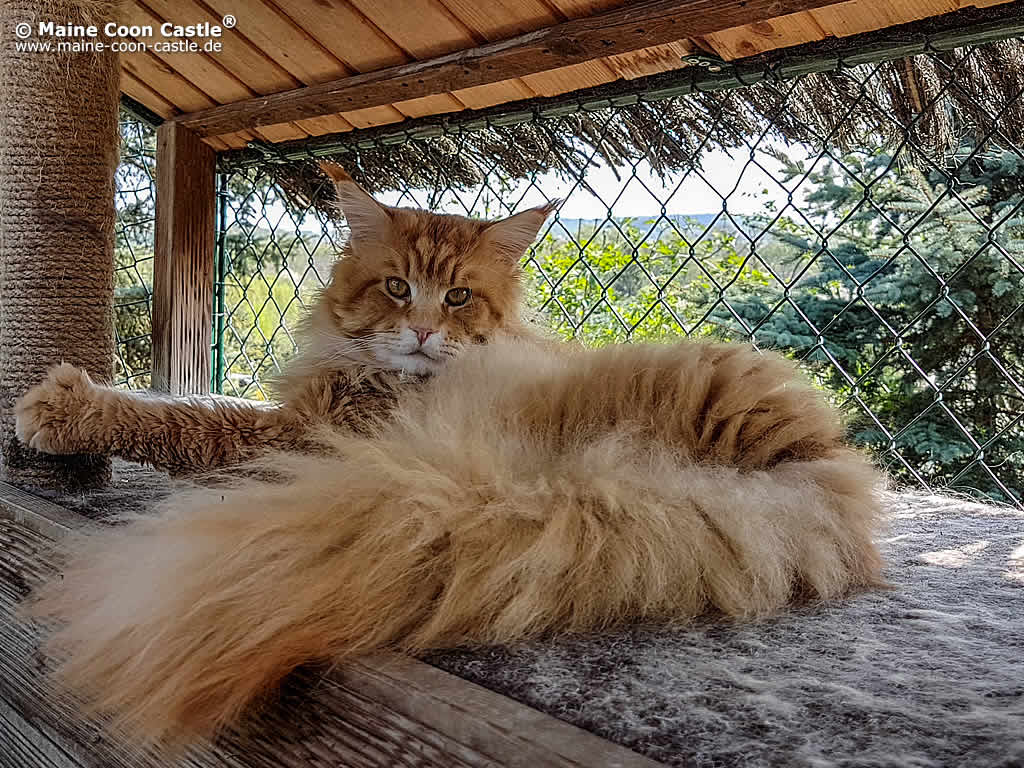 Andy 2 Jahre und 5 Monate alt Andy 2 Jahre und 5 Monate alt