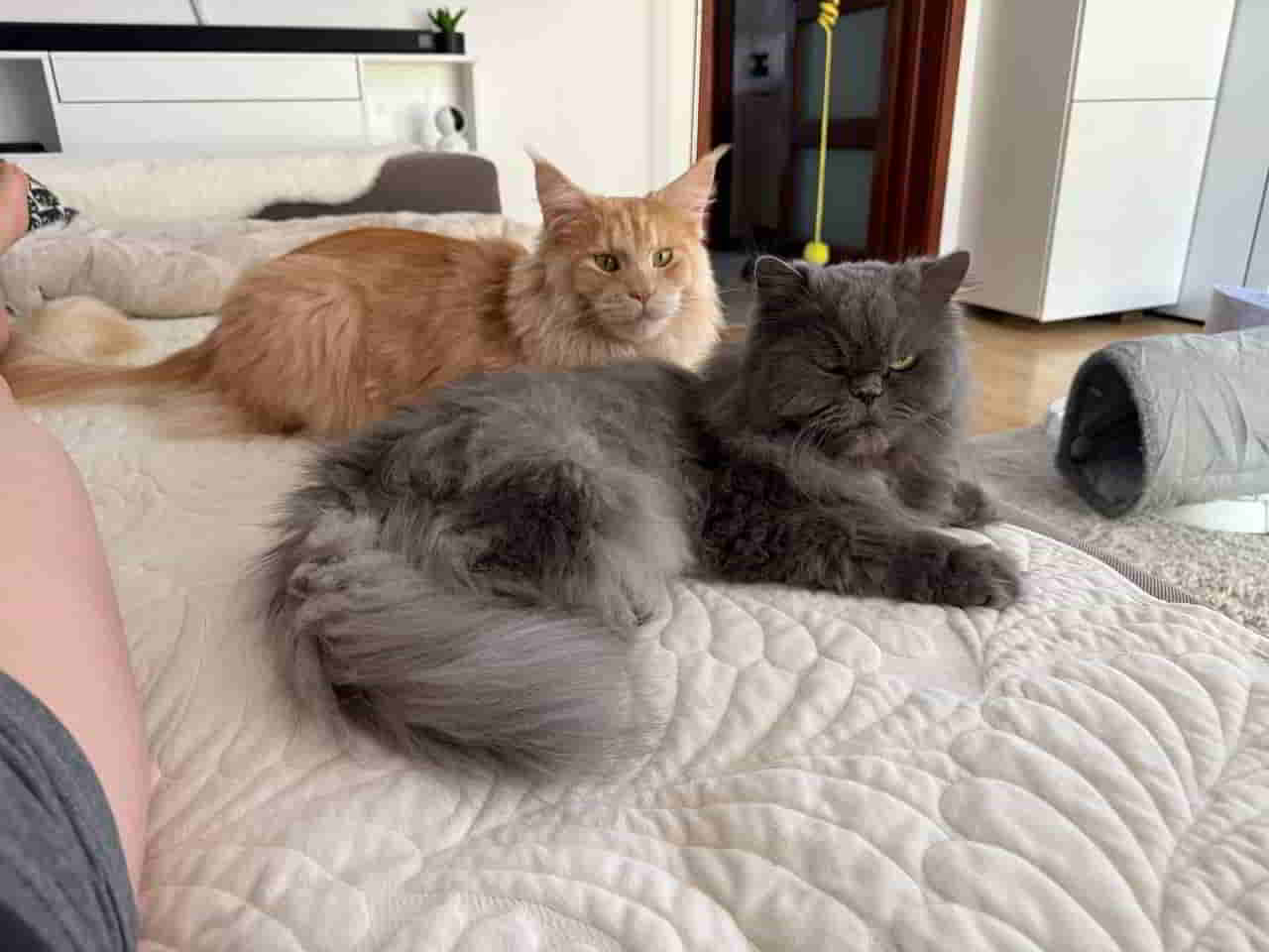 Die zwei super coole Jungs Die zwei super coole Jungs