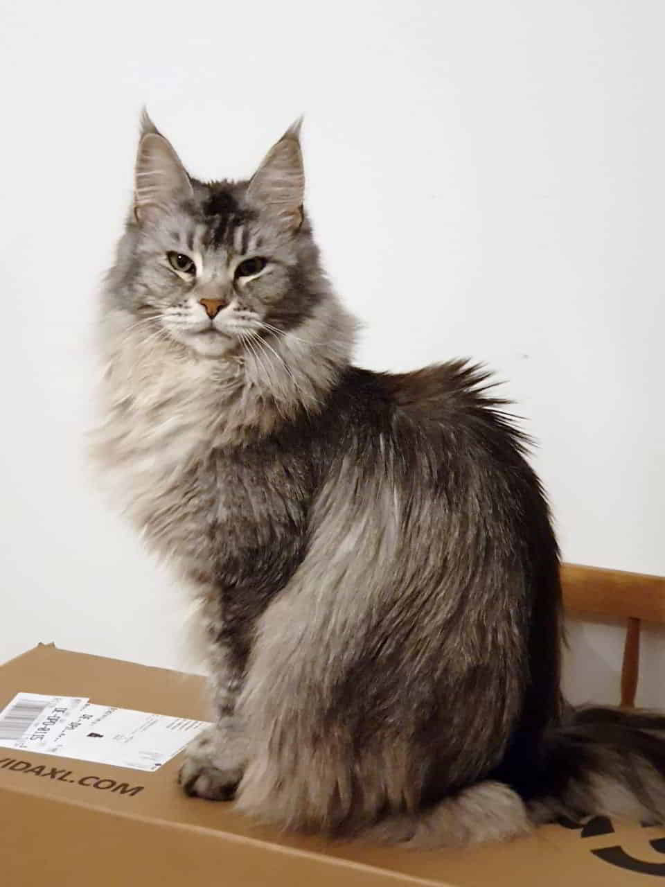 Franny wünscht auch allen eine gute Nacht Franny wünscht auch allen eine gute Nacht