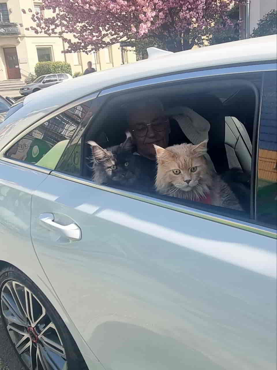 Frohe Ostern wünschen Franka und Justus und die Büchsenöffner Frohe Ostern wünschen Franka und Justus und die Büchsenöffner