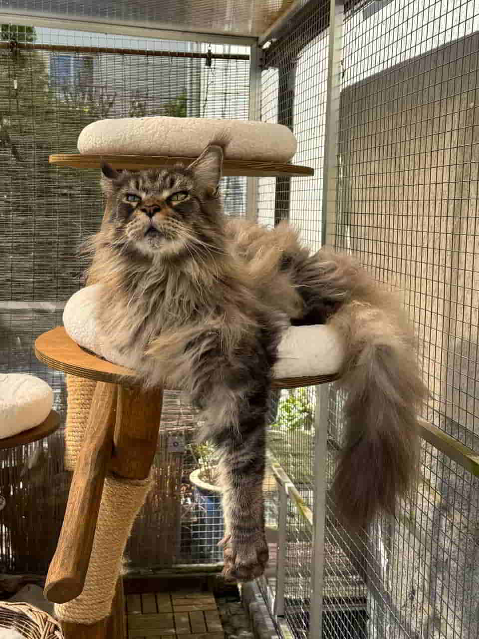 Heut ist ein wunderschöner Morgen Heut ist ein wunderschöner Morgen