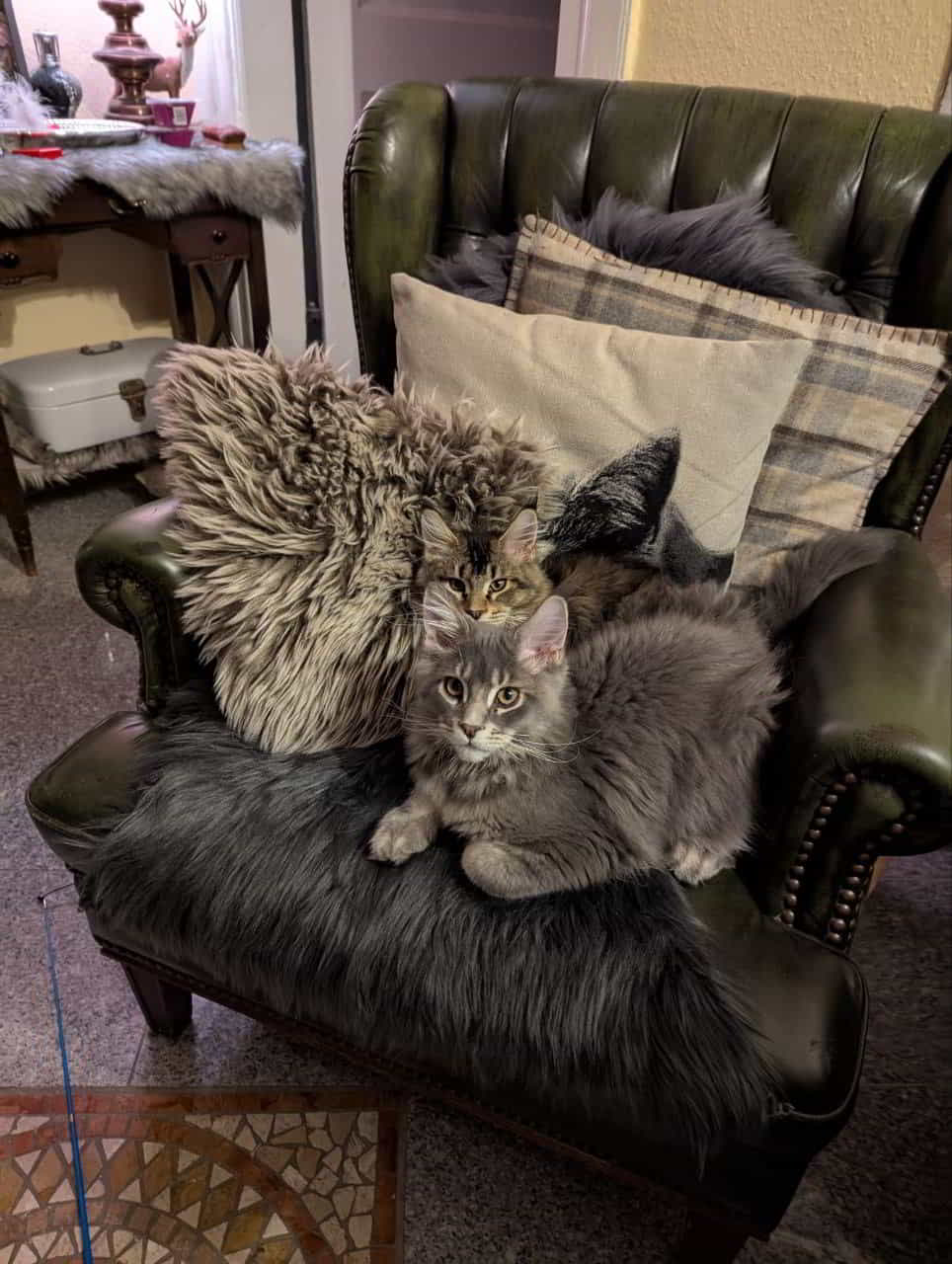 Kolja mit Schwester Dina Kolja mit Schwester Dina