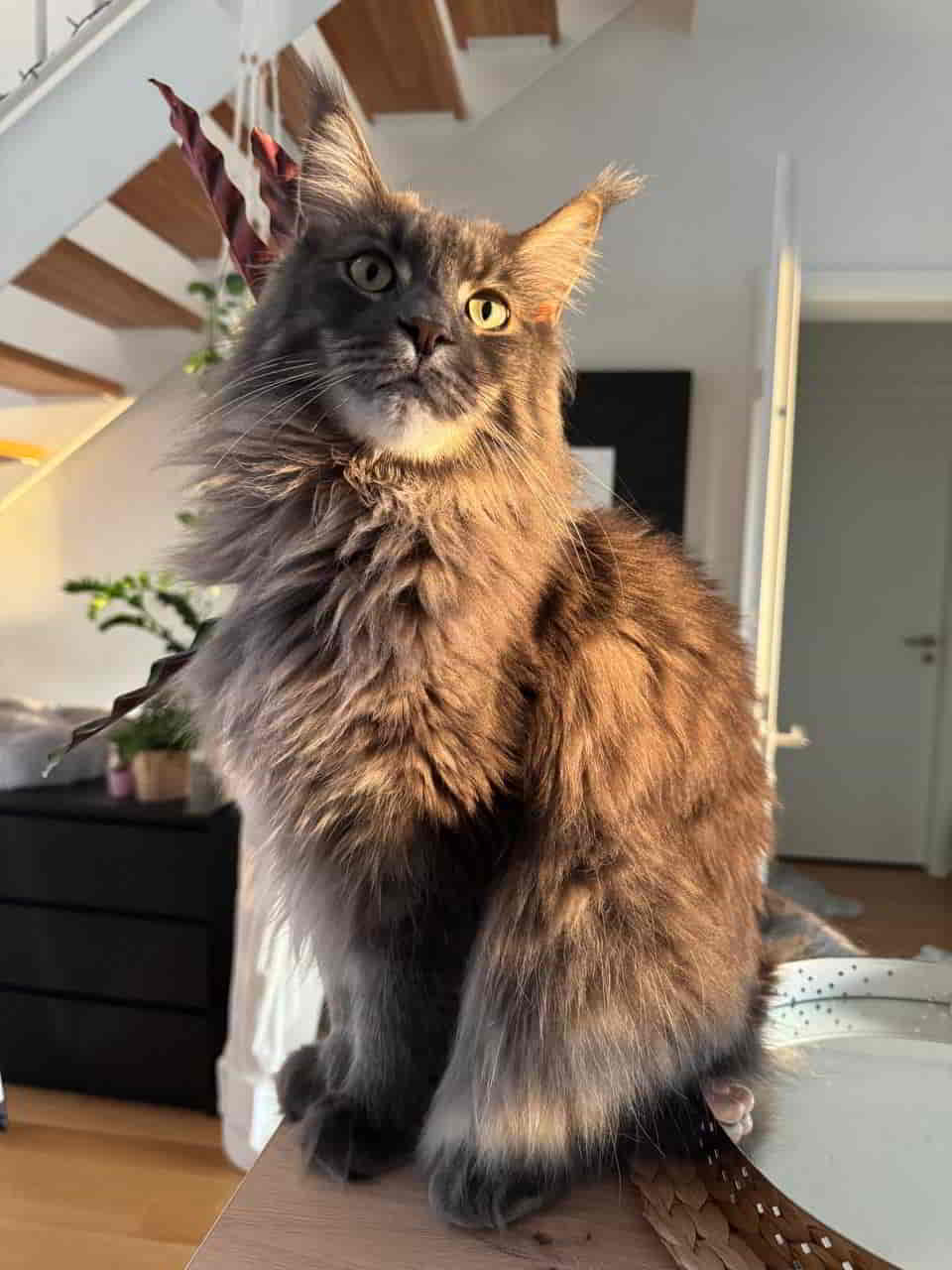 Leo posiert für seine Fans Leo posiert für seine Fans