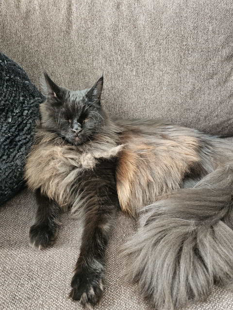 Mara geb. Uta Mara geb. Uta