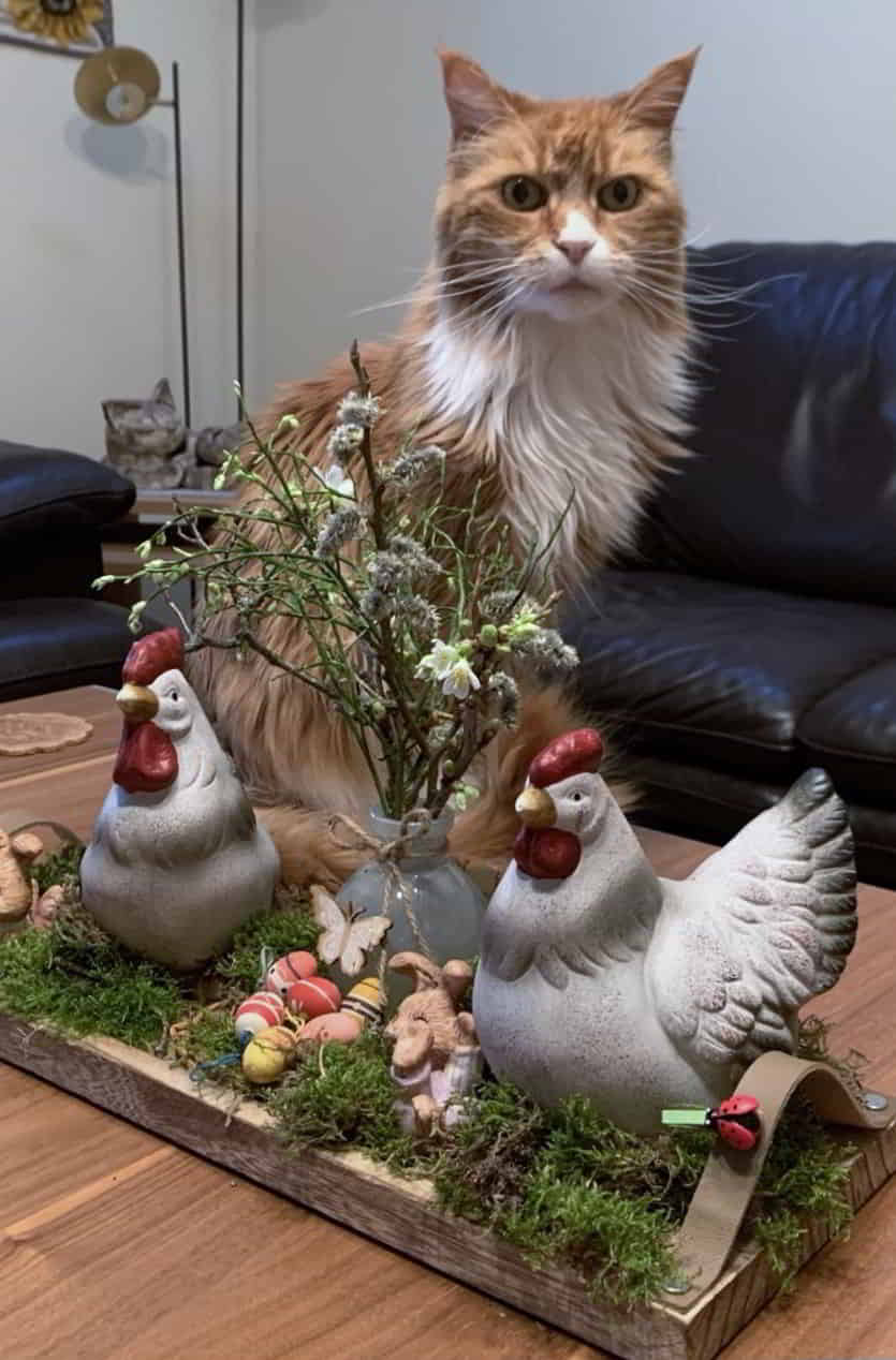 Meine süße kleine Melina Meine süße kleine Melina