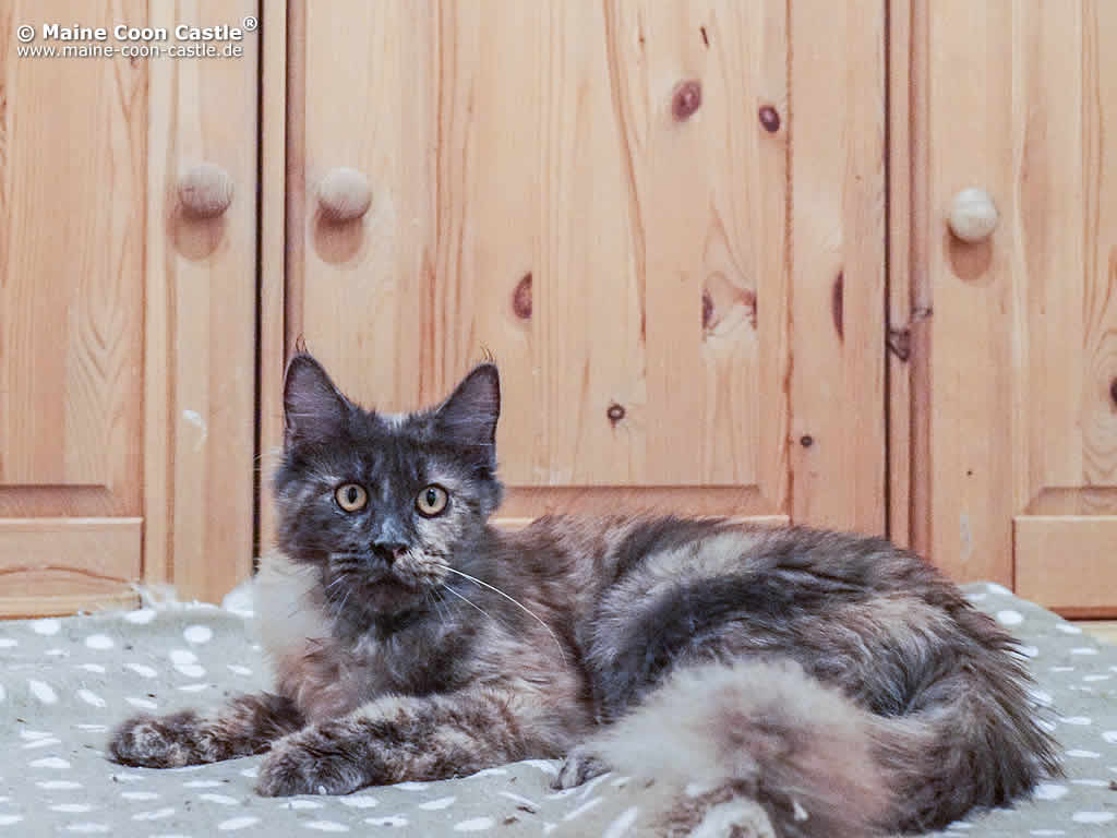 Nora 9 Monate alt Nora 9 Monate alt