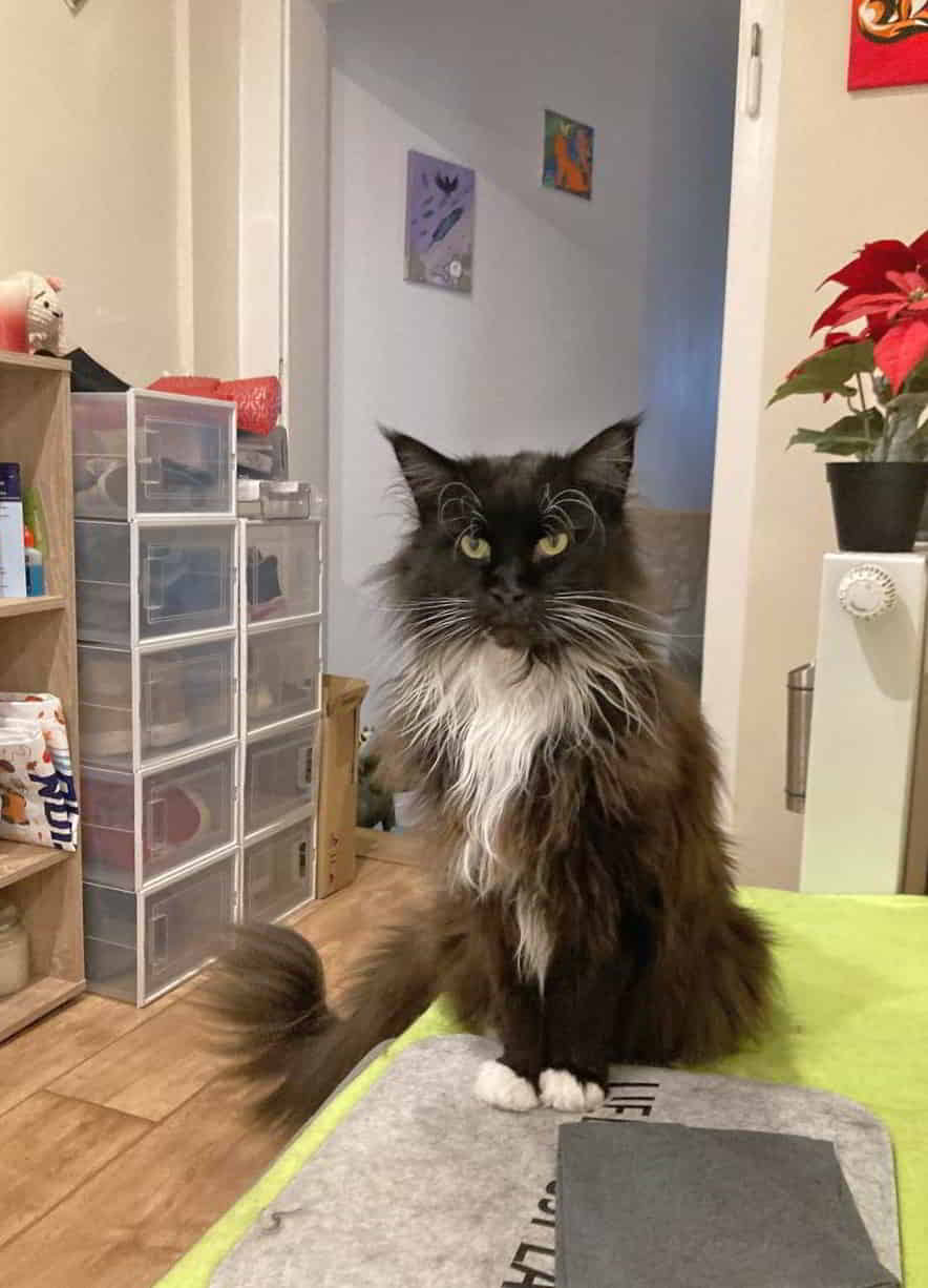 Quentin wünscht einen entspannten Sonntag Quentin wünscht einen entspannten Sonntag