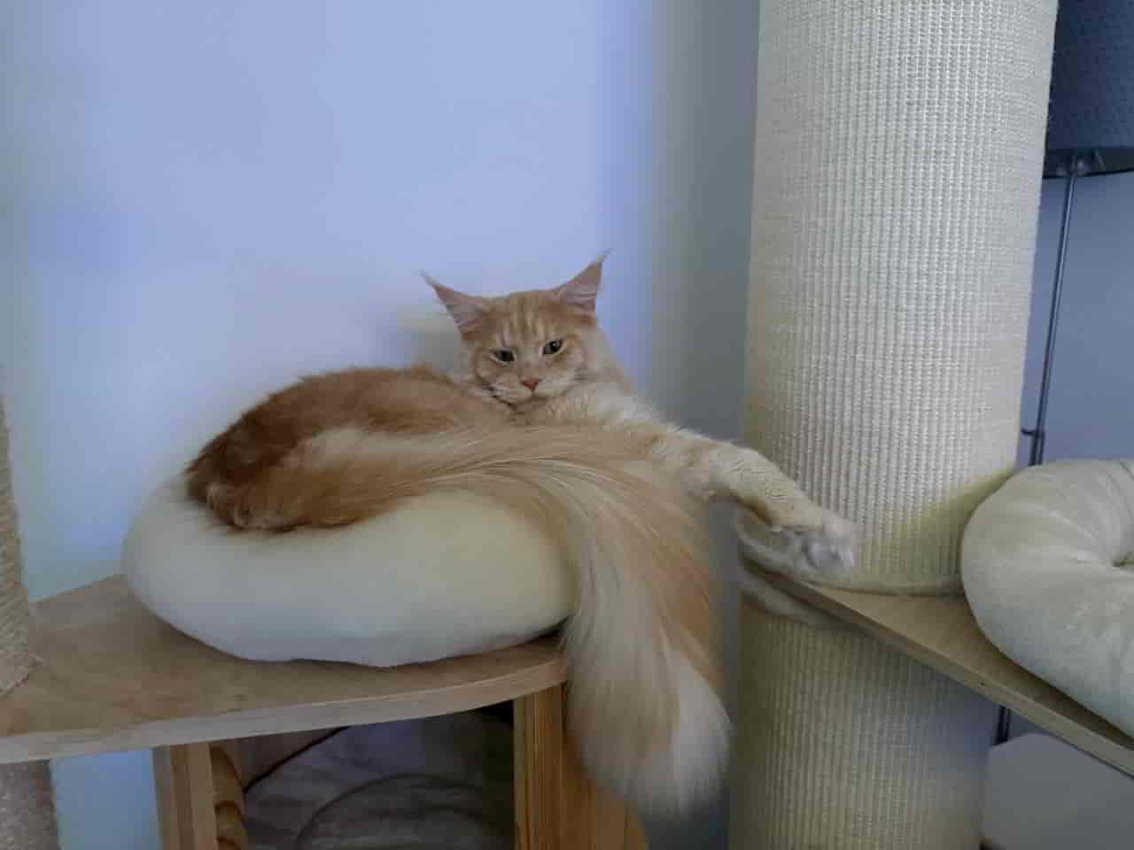 Quiet Fire Quiet Fire