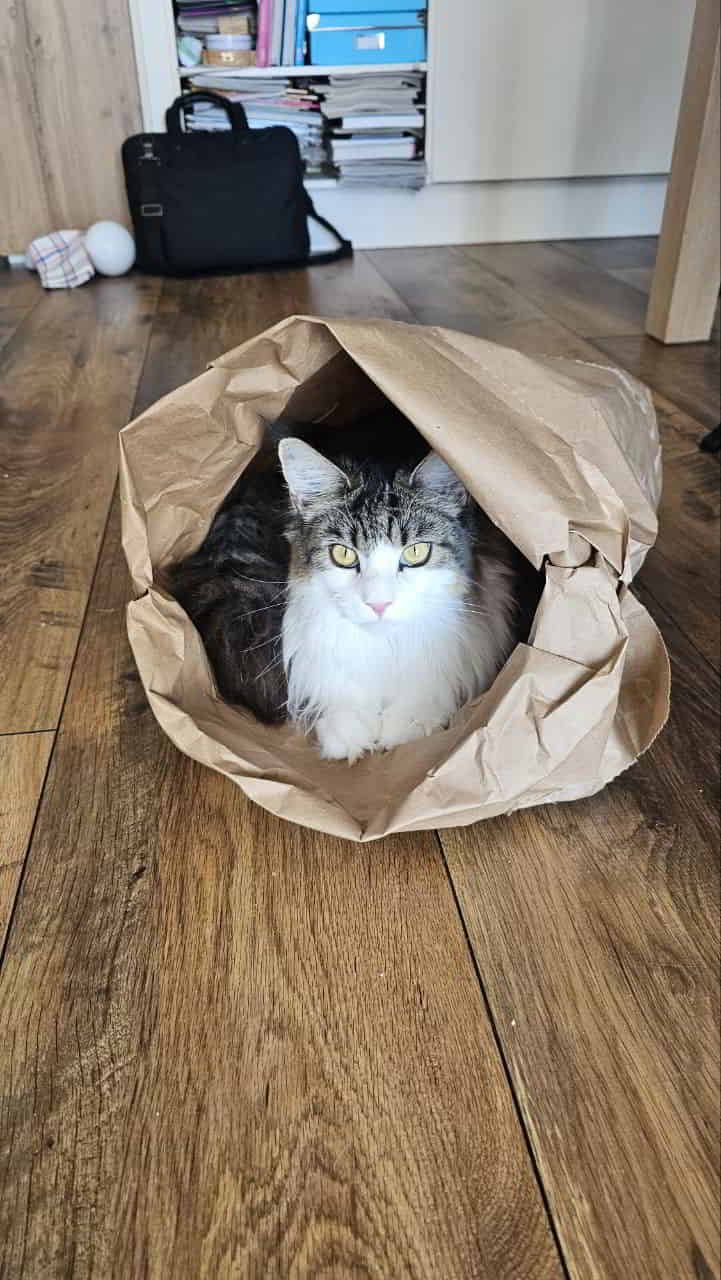 Tütenwinni 1 Tütenwinni 1