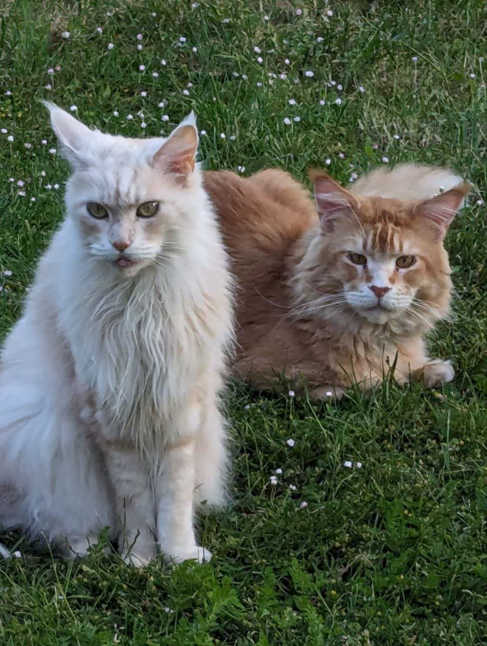 Chiara und Anton Chiara und Anton