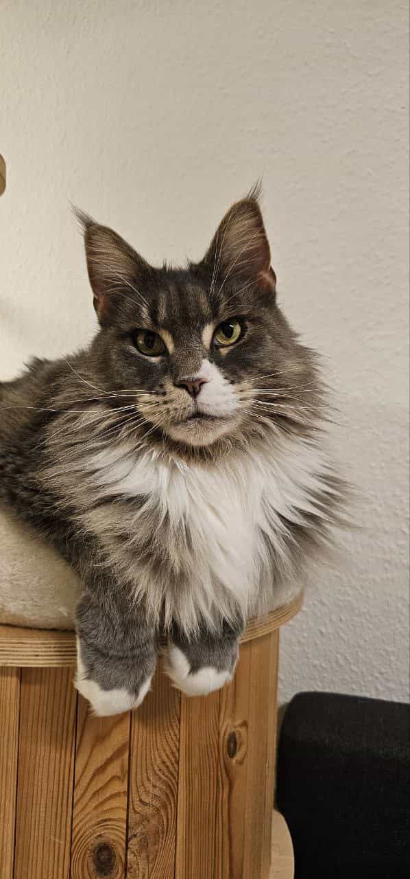 Isa 5 Jahre alt Isa 5 Jahre alt